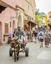 A Moroccan male riding a donkey carriage at Marrakech medina in a sunny day