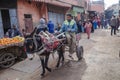 Marrakech, Morocco - Feb 10, 2023: A donkey pulls a cart through the streets of the Marrakech Medina markets