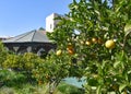 Marrakech, Morocco - Feb 21, 2023: Le Jardin Secret (The Secret Garden), in the old medina of Marrakech