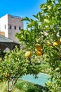 Marrakech, Morocco - Feb 21, 2023: Le Jardin Secret (The Secret Garden), in the old medina of Marrakech