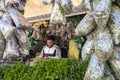 Vendor on open air market selling fresh mint and dry herbs to prepare moroccan tea