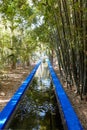 Marrakech / Morocco- 03/02/2016 : Jardin Majorelle Garden in Marrakech was founded in 1923, Yves Saint-Laurent lived here