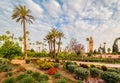 Marrakesh landscape