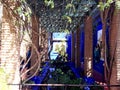 Marrakesh Le Jardin Majorelle