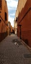 Marrakesh Medina city streets - old fortified city Royalty Free Stock Photo