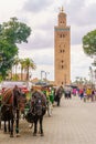 Jemaa el-Fnaa square, Marrakesh Royalty Free Stock Photo
