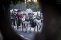 Carriages on the streets of Marrakesh.