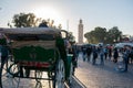 Marrakesh, Morocco - January 2019 : horse-drawn carriage cab waiting for passengers for tour in Jemaa el Fna square Royalty Free Stock Photo