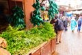 MARRAKESH, MOROCCO. NOVEMBER 10 2018. Mint, Herbs in the traditional marrakech market in Marrakech medina quarter