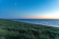 Marram grass in coastal sand dunes during the sundown on the beach of Noordwijk in the Netherlands