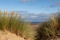 Marram Grass Covered Sand Dunes and the Beach Beyond Royalty Free Stock Photo