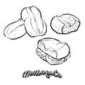 Marraqueta food sketch separated on white Royalty Free Stock Photo