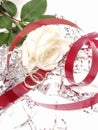Marriage 060 Royalty Free Stock Photo