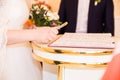 Marriage elegant bride signing register Royalty Free Stock Photo