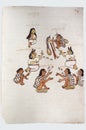 Marriage proposal by a young Tlapaneca with his work tools. Page 74 of Codex Tudela