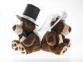 Marriageable teddy bears Royalty Free Stock Photo