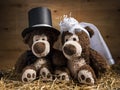 Marriageable teddy bears Royalty Free Stock Photo