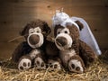 Marriageable teddy bears Royalty Free Stock Photo