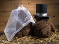 Marriageable teddy bears Royalty Free Stock Photo