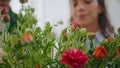 Married couple enjoy roses flowers in florist store. Two lovers buy bouquet. Royalty Free Stock Photo