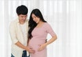 Married couple is expecting baby. man embraces his pregnant wife on window background Royalty Free Stock Photo