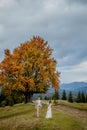 A married couple walks among the mountains, the bride leads the groom behind her, the girl holds the boy`s hand, smiles, the woma