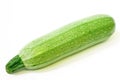 Marrow squash Royalty Free Stock Photo