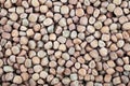 Marrowfat Bean Background Royalty Free Stock Photo