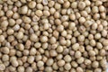 Marrowfat Beans Backgrounds Royalty Free Stock Photo