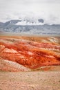 Mars fields in Altai Royalty Free Stock Photo