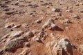 Mars surface super detailed view