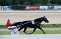 Marsa, Malta - June 5: horse race in Marsa city, Malta on June 5, 2014 Royalty Free Stock Photo