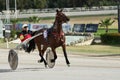 Marsa, Malta - June 5: horse race in Marsa, Malta on June 5, 2014 Royalty Free Stock Photo