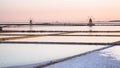 MARSALA SALINE STAGNONE