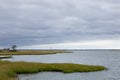 The Marsh along the Channel