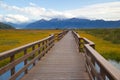 Marsh Boardwalk Royalty Free Stock Photo