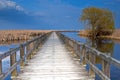 Marsh boardwalk at Point Pelee, Canada Royalty Free Stock Photo