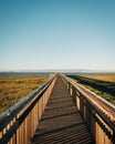 Marsh boardwalk trail at Baylands Nature Preserve, in Palo Alto, California Royalty Free Stock Photo