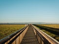 Marsh boardwalk trail at Baylands Nature Preserve, in Palo Alto, California Royalty Free Stock Photo