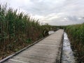 Marsh Discovery Trail, Kingsland Creek, Hackensack River, Meadowlands, NJ, USA Royalty Free Stock Photo