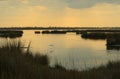 Marsh at dusk Royalty Free Stock Photo