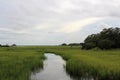 Marsh at dusk