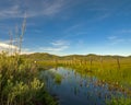 Marsh field and fence with blue sky Royalty Free Stock Photo