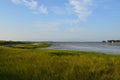 Marsh Grass on Duxbury Bay Royalty Free Stock Photo