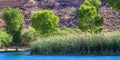 Tall cottonwood trees and marsh grasses grow alongside the lagoon in Dead Horse Ranch State Park, with a rocky cliff in the backgr Royalty Free Stock Photo