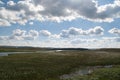 Marsh on Hardangervidda