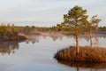 Marsh lake