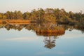 Marsh lake