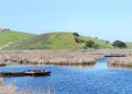 Marsh land with full lake at Coyote Hills