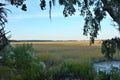 The marsh land goes on for miles outside of Beaufort, South Carolina Royalty Free Stock Photo